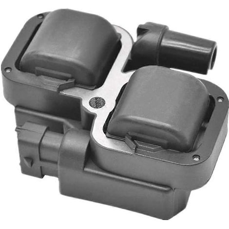 Externe Zündspule 2876049 4010425 für Rzr 800 900 1000 XP EFI 2005–2020 (1/5)