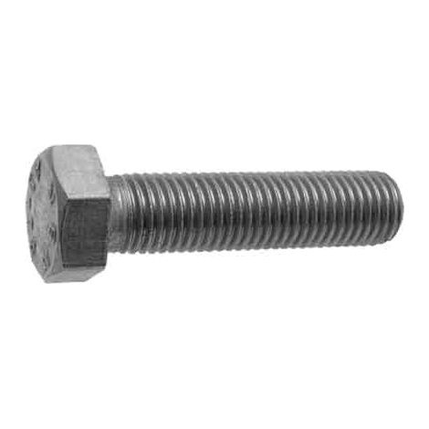 BULLONE T.E. INOX 6x40