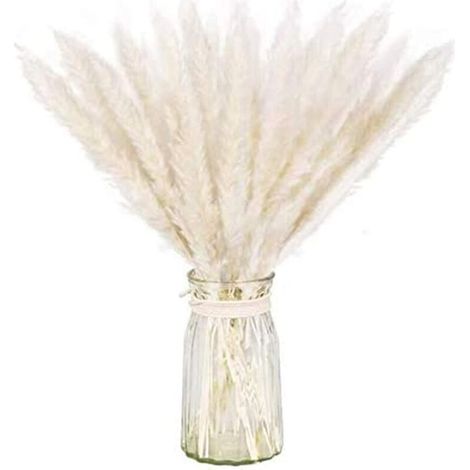 Paquet Séché Naturel D'herbe De Pampa Sèche Pour La Décoration Intérieure 60pcs Blanc