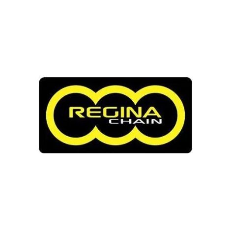 Catena Regina super oring 135 maglie passo 520