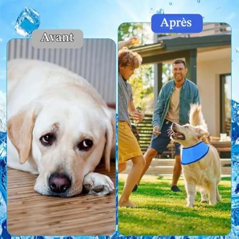 Bandana rafraîchissant pour chien, foulard d'été confortable et frais pour chiens moyens et grands, ajustable, bleu, taille L (1/3)
