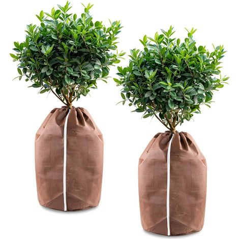 (2 pièce) Sac Anti Gel pour Plantes en Pot, Protection pour Plantes, Protection hivernale pour Plantes, 40 x 40 cm, Oxford (1/5)