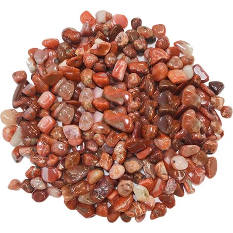 Pierres Décoratives Pour Plantes - Galets Naturels Polis - Remplissage Pour Vases Terrariums et Jardins Miniatures - 100 g (1/4)