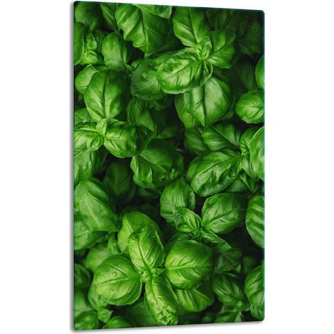 TABLERO DE MESA DE PANEL DE CRISTAL 30x52 VERDE (1/5)