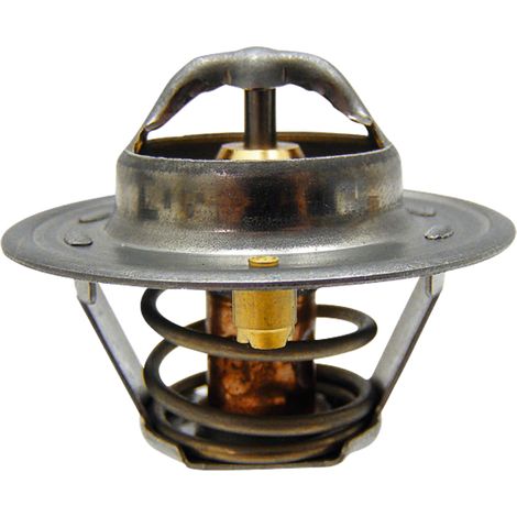 Termostato Case 79' IH 54mm 74702160 GRANITO 162000060701