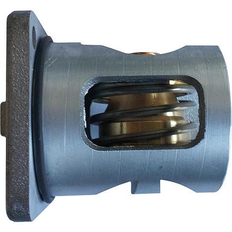 Insert thermostatique TM3000 Température 63°C (1/2)