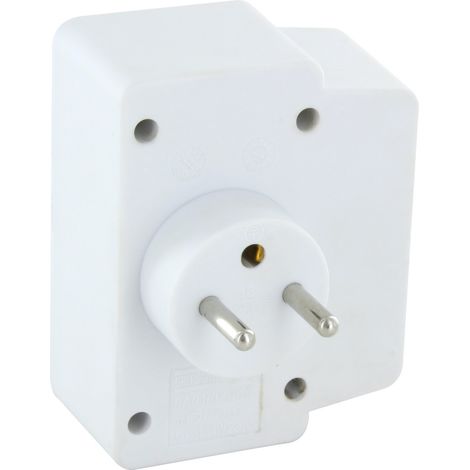 Domino 2x16A + USB-A/C + interrupteur - Gris/Blanc - Chacon (1/4)