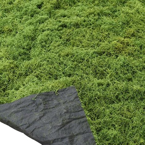 Tapis de Mousse Artificielle 100 × 100 cm, pour la décoration (1/5)