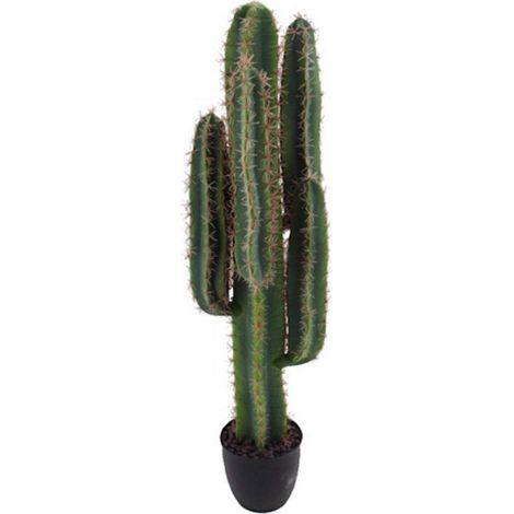 Pianta ornamentale di Cactus 108 cm con vaso