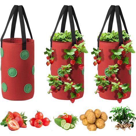 Sacs de jardin de tomates et fraises, de culture, sac de culture de légumes planteur à l'envers avec 12 trous de culture, 20x35cm, 3 pièces (1/5)
