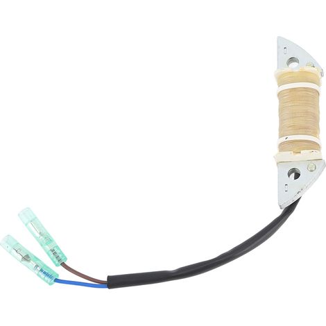 Bobine d'allumage pour moteur hors-bord 2 temps 9.9-15 CV - Installation facile, construction métallique durable, compact et léger, compatible direct (1/5)