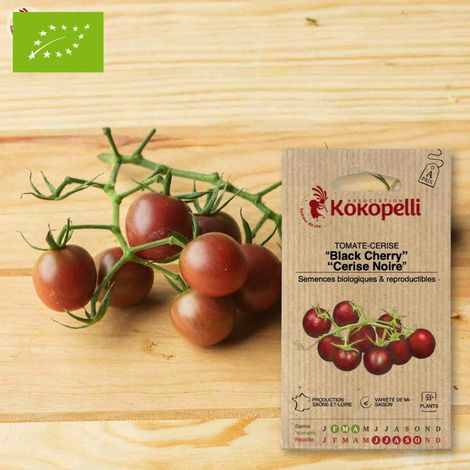 Tomate-Cerise Black Cherry