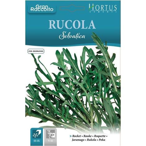 RUCOLA SELVATICA GRAN RACCOLTO