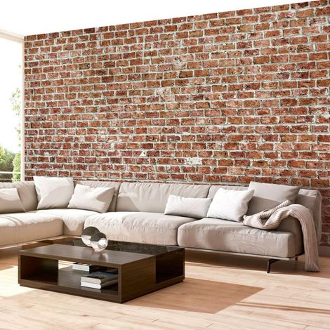 Papier peint ancienne domination - 250 x 175 cm (1/4)
