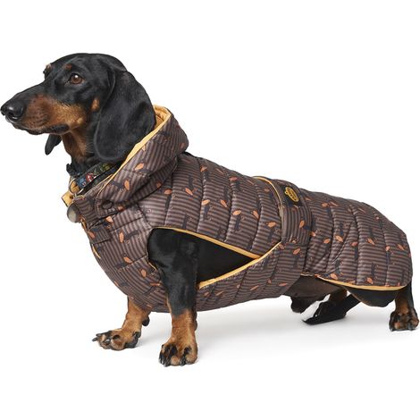 Fashion Dog wasserfester Hunde-Steppmantel speziell für Dackel - 33 cm (1/4)