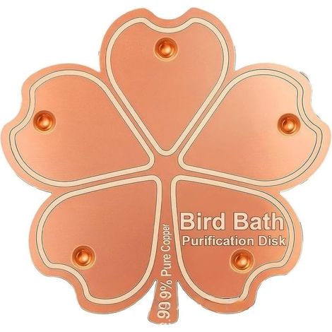 Lot de 10 disques de nettoyage pour bain d'oiseaux en cuivre pur pour bains d'oiseaux en extérieur 10 cm (1/5)
