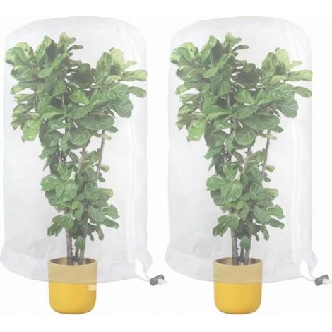 Filet pour Arbre Fruitier, Lot de 2 Filet de Protection Contre Les Insectes, Filet de Protection des Plantes, Filet de Protection Les Parasites, pour Légumes, Fleurs, Fruits, 0,8 x 0,8 (1/4)
