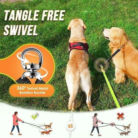 Séparateur de laisse double pour chien, sans enchevêtrement, rotation à 360°, coupleur de laisse pour chien pour promener 2 chiens, double laisse réfléchissante absorbant les chocs réglable pou (1/3)