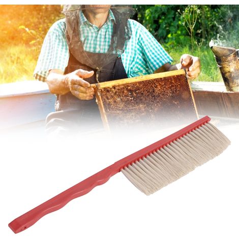 2 Imkerwerkzeuge: Einzelreihen-Bienenbürste, Beutenreinigungsbürste, Bürste mit Kunststoffgriff