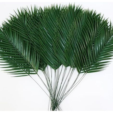 Lot de 50 grandes feuilles de palmier artificielles en plastique pour plage, fête hawaïenne (1/5)