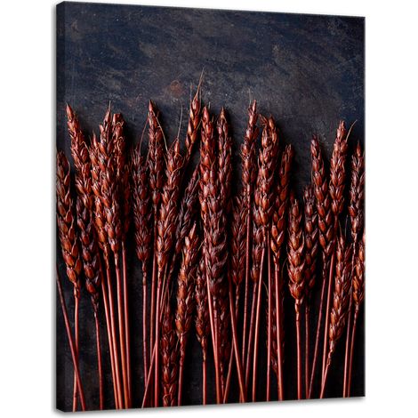 Lienzo impreso Botánica Trigo Oscuro 30x40 cm