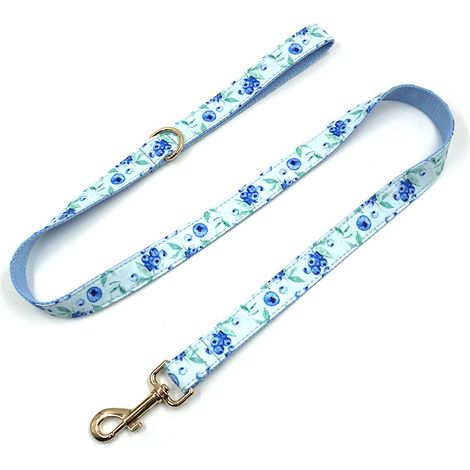Collier et laisse pour chien motif fruité et floral avec boucle dorée, ajustable, taille S (1/2)