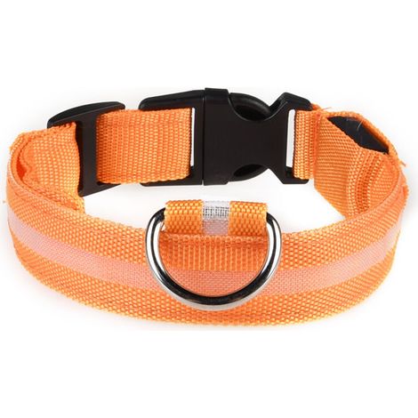 Collier LED rechargeable par USB pour chien de compagnie, clignotant, lumineux, sécurité, lumière en nylon (1/5)