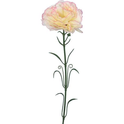 Einzelne rosa-weiße Nelke, 54 cm (1/3)