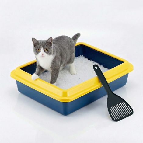 Bac à Litière pour Chat avec Bord, Bac Hygiénique avec Pelle Incluse, Taille L 43,5 x 34 x 11 cm, Toilette pour Chat en Plastique Résistant, Pratique et Hygiénique (1/5)