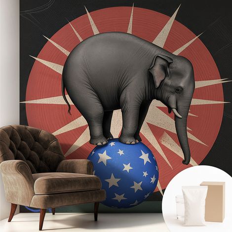 Carta Da Parati Non Tessuto - Con Colla Inclusa per Camera da Letto - Facile da Applica - Motivo decorativo elefante da circo 250x250 cm (1/5)
