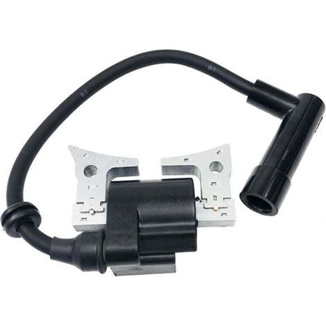 Bobine D'Allumage Compatible Moteurs EX13 EX17 EX21 Remplacement Pièce 20A-79431-01 (1/4)