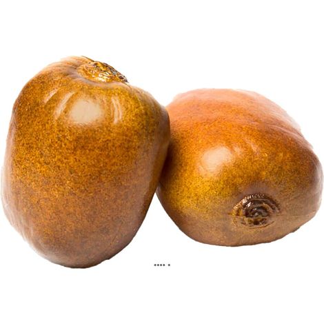 Kiwi artificiel en lot de 2 en Plastique soufflé D 65x70 mm (1/3)