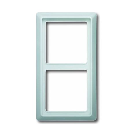 BUSCH-JAEGER 2102-32 PLAQUE DOUBLE PROTÉGÉ CONTRE L'EAU IP44, BLANC