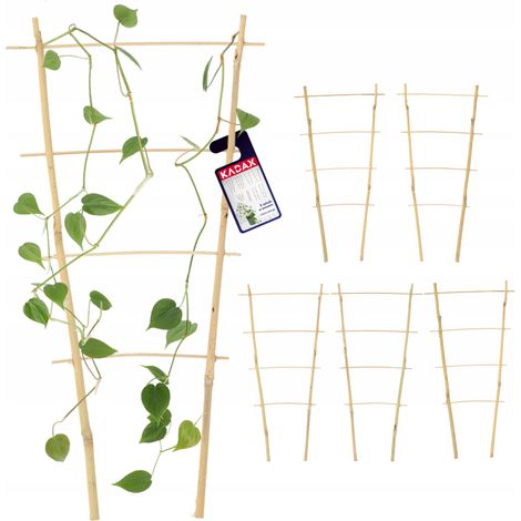 KADAX Support Pergola Échelle Bambou 43 cm 5 pcs (1/5)