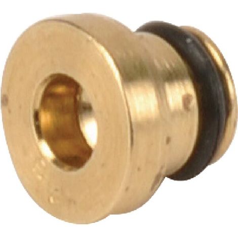 Gicleur principal BRIGGS ET STRATTON 591936 (1/2)