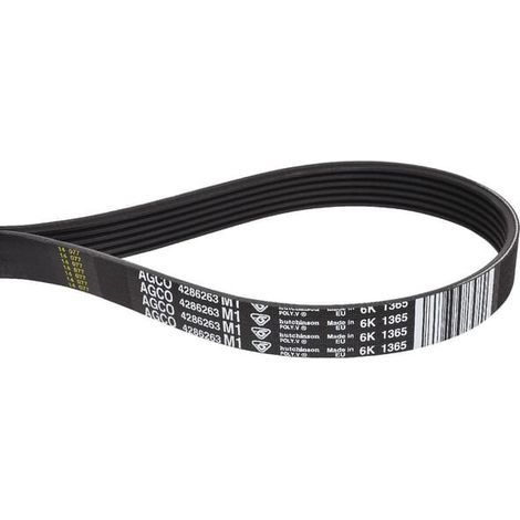 Courroie trapézoïdale MASSEY FERGUSON 4286263M1