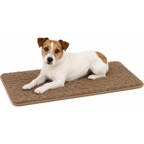 Panier Chien - Coussin Chien et Chat Orthopédique à Mémoire de Forme - Coussin Rectangulaire Beige - Convient aux Cages de Transport - 70,5x41,5 cm (1/5)
