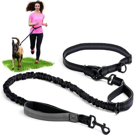 Laisse mains libres pour chien avec coutures réfléchissantes – laisse disponible en différentes tailles pour la marche, la randonnée, le dressage, le jogging, le canicross et la course à pied – pour l