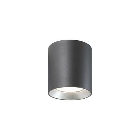 Lampe de plafond en aluminium moulé sous pression, diffuseur en verre transparent, consommation 12W, flux lumineux 1040 lumens, lumière chaude graphite (1/4)