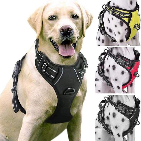Schwarzes, gepolstertes und verstellbares Anti-Zug-Hundegeschirr für das Training oder den Spaziergang mit großen Hunden. (1/5)