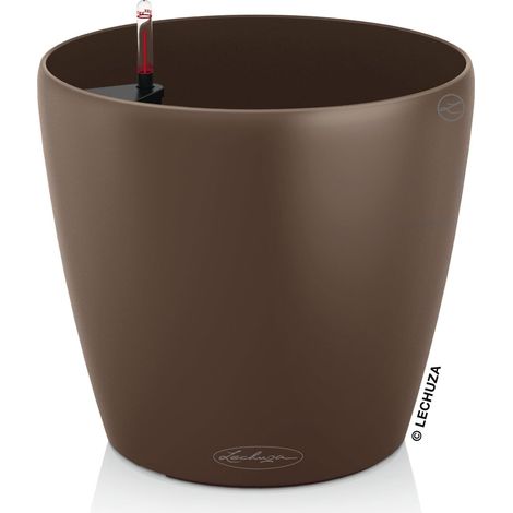 LECHUZA CLASSICO Color 28 noce moscata 13203 (1/5)