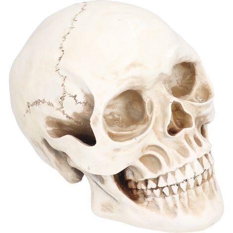Crâne d'animal décoratif en résine, objet de décoration pour Halloween, idéal pour les fêtes à la maison. (1/5)