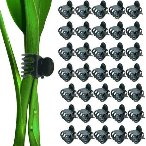 50 kleine Pflanzenclips, 1,5 cm, dunkelgrüne Bindeclips für Blumen und Kletterpflanzen (1/4)