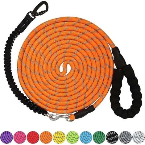 Laisse pour chien 10 m Laisse robuste avec crochet pivotant verrouillable et fils réfléchissants Laisse élastique pour chien Poignée rembourrée confortable pour la marche pour petit, moyen et g (1/4)