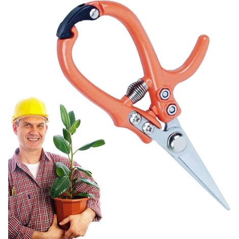 Gartenschere, professionelle Blumenschere Astschere, Blumenschere, Gartenschere zum Obstpflücken (1/5)