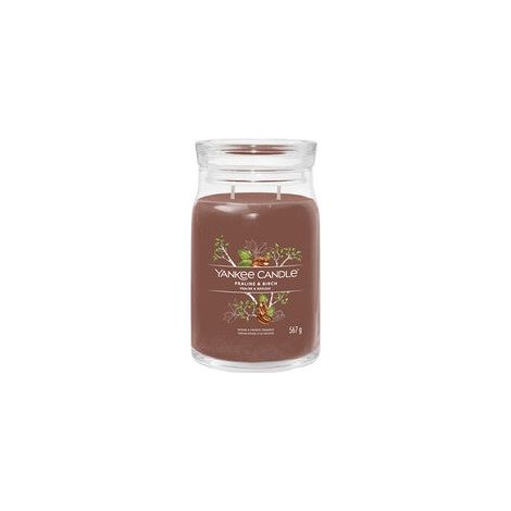 Praline et bouleau - Yankee Candle Signature - Bougie moyenne à deux mèches - Nouveauté 2022