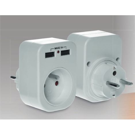Steckdose mit/mit Ladegerät 2xUSB 2,1A R-1USB