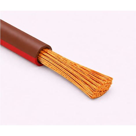 Cavo Filo Unipolare FLRY-B ISO 6722 Classe B Sez. 1,00 Marrone/Rosso