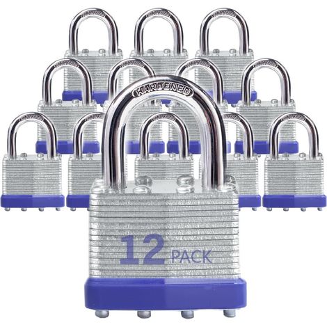 Lot de 12 cadenas d'extérieur à clé avec la même clé – Cadenas à clé en acier laminé avec anse normale, pour loquet à moraillon, abris de jardin, clôtures, casier de rangement, école, salle de sport (1/5)