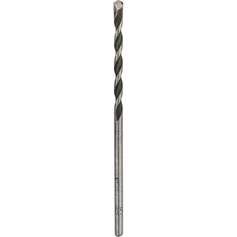Bosch Foret 3,0 mm Argenté Cylindrique Durable (1/3)